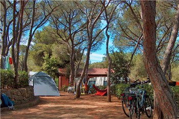Camping Lacona Pineta